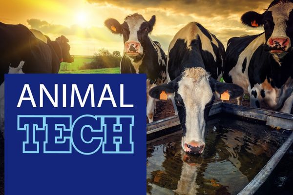 Animaltech